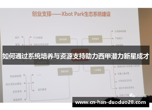 如何通过系统培养与资源支持助力西甲潜力新星成才 如何通过系统培养与资源支持助力西甲潜力新星成才