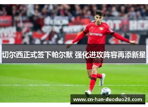 切尔西正式签下帕尔默 强化进攻阵容再添新星