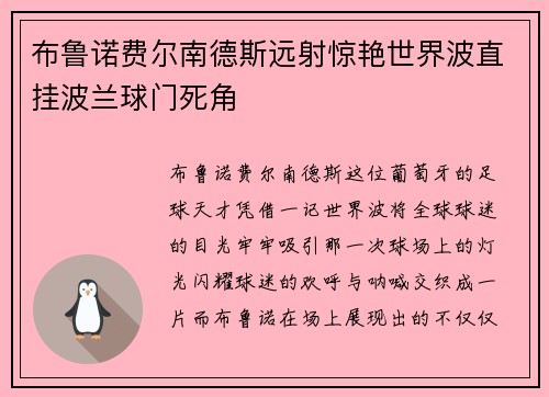 布鲁诺费尔南德斯远射惊艳世界波直挂波兰球门死角